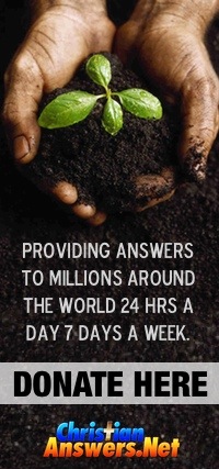 Donate - Keep this ministry online helping millions - click