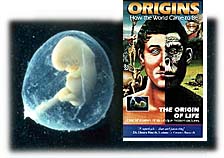 The Origin of Life, video from Films for Christ. Copyright, Films for Christ.