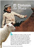 El Cinturon de Plata