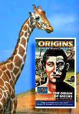 The Origin of Species, video from Films for Christ. Copyright, Films for Christ.