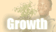 How to help people grow in Christ
