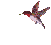 Click for sound clip