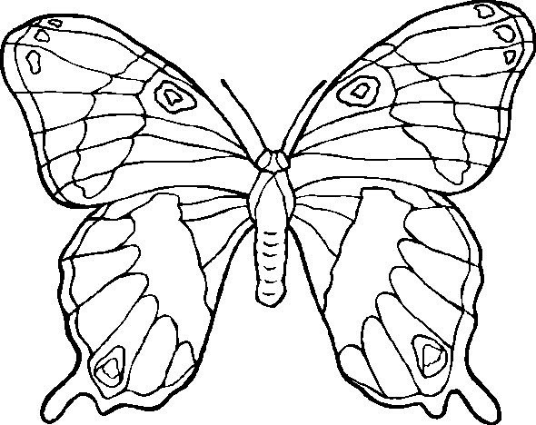 La Mariposa - Dios ha creado un mundo muy hermoso