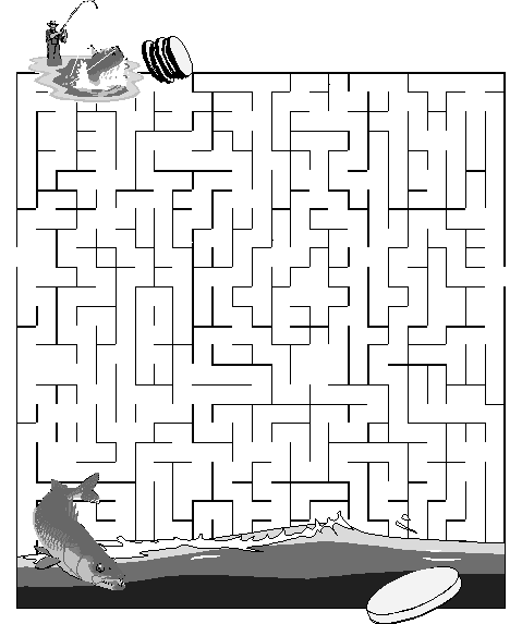 The 'Fishing for Money' Maze