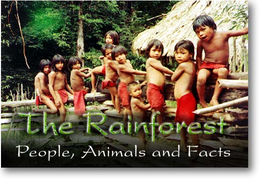 People of the Rainforest. Photo from the Amazon region of Brazil. Copyrighted.