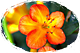 Click to read