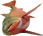 Click to read
