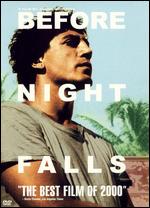 Cover art for 'Before Night Falls'