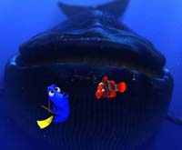 'Finding Nemo,' courtesy of Disney/Pixar