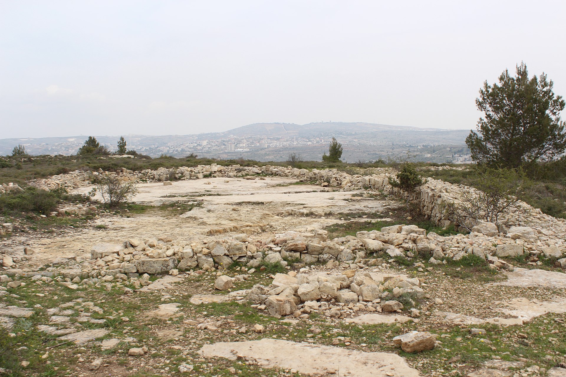 Ruins of Jeroboam's Temple. Photo © Deror Avi. License: CC BY-SA 4.0.
