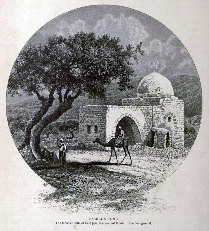 1883 illustration