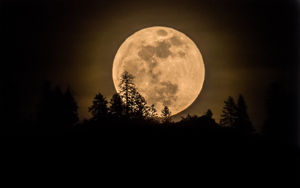 Moon rise. Photo © Rocky Raybell. License: CC BY 2.0. File ID: 90749433@N06