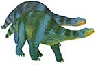 Two Apatosaurus Dinos
