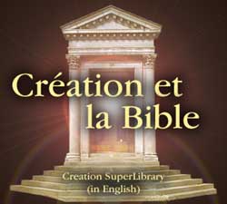Création et la Bible