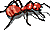 Red ant (illustration copyrighted).