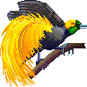 Tropical bird (illustration copyrighted)
