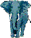 Elephant (illustration copyrighted)