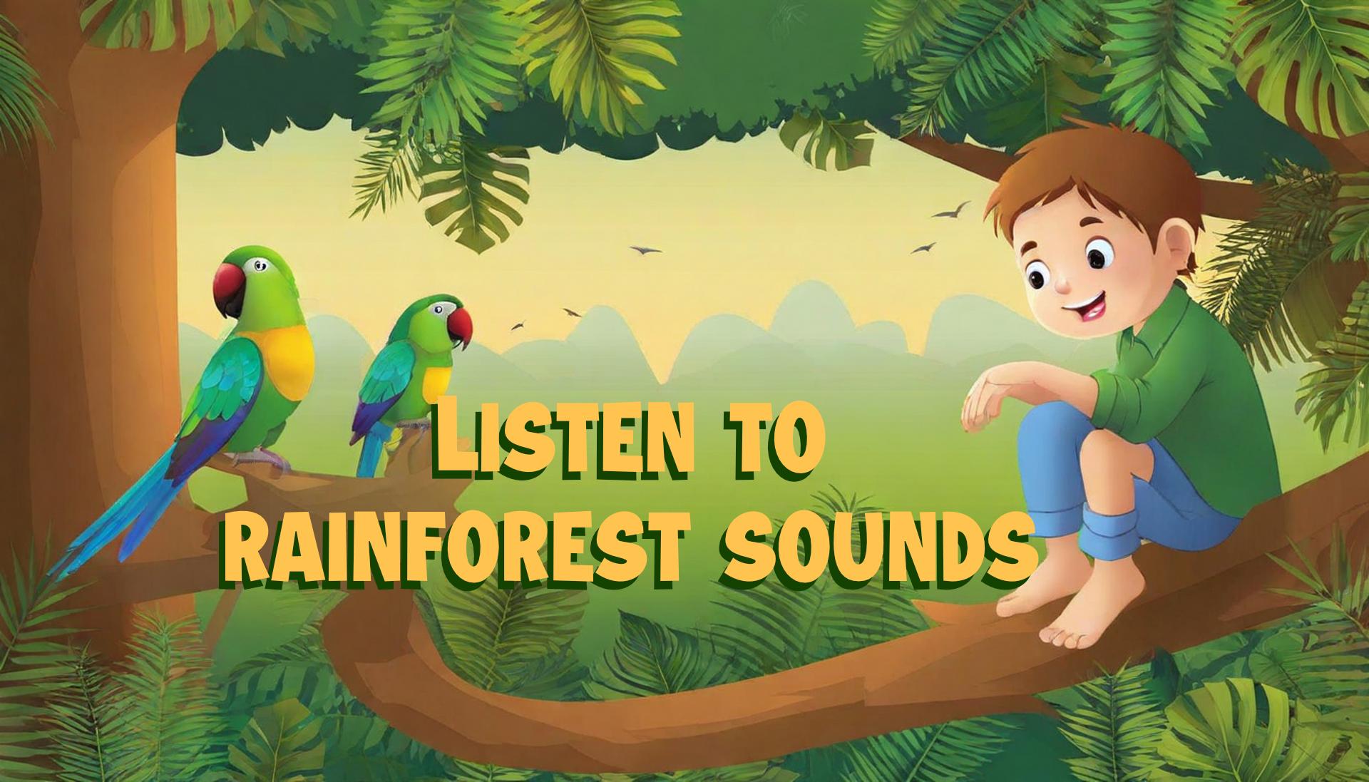 Sounds of the Rainforest