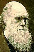 Charles Darwin portrait