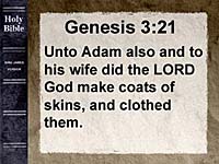 Verse - Genesis 3:21. Copyright, Answers in Genesis.