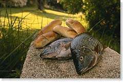 Loaves and fishes