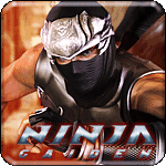 Ninja Gaiden.  Illustration copyrighted.