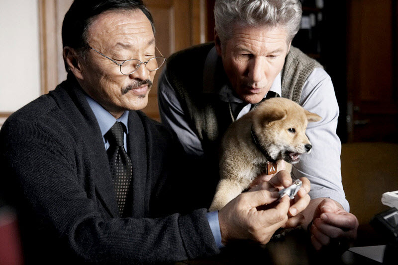 hachi christian movie review