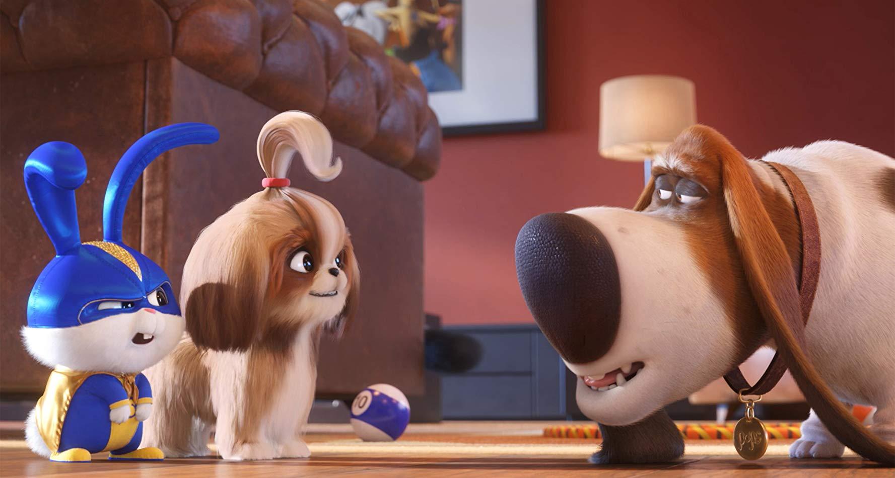 the secret life of pets movie dvd release