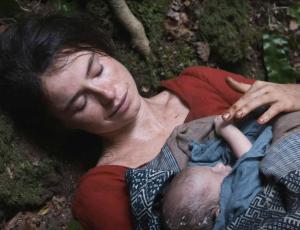 Copyright, Focus Features