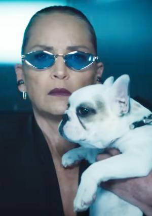 Copyright, Universal Pictures