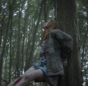 Copyright, Lionsgate (Lions Gate Entertainment Corp.)