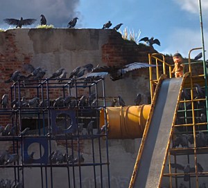 Copyright, Laika Entertainment